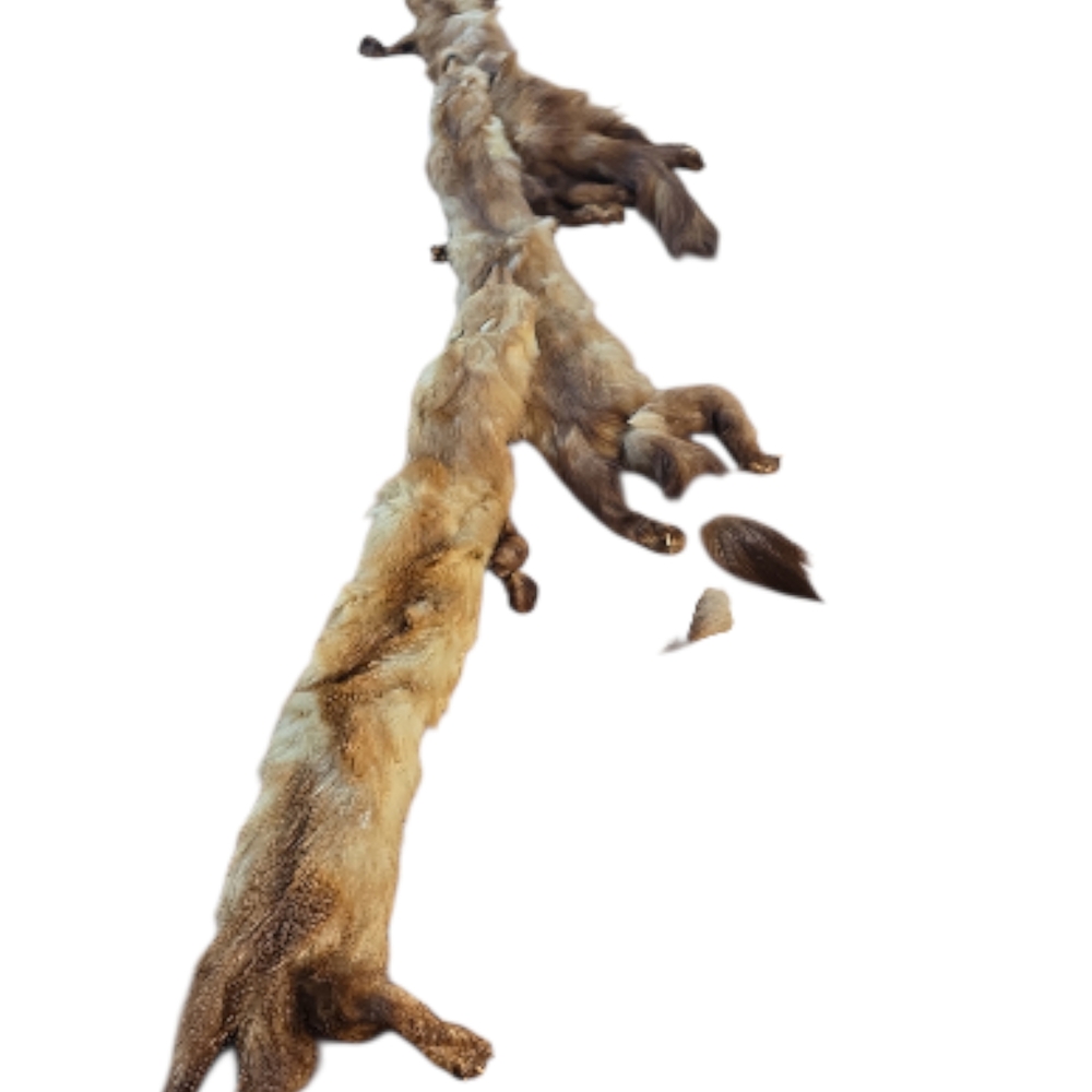3 Vintage 1930's/40's Red Fox Fur Triple Stoles - Picture 2 of 16